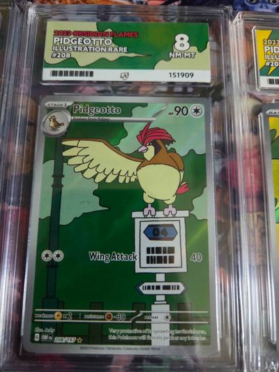 Pidgeotto Ace 8